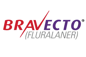 bravecto