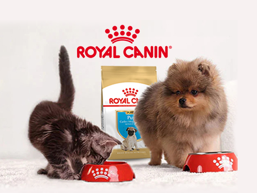royal canin
