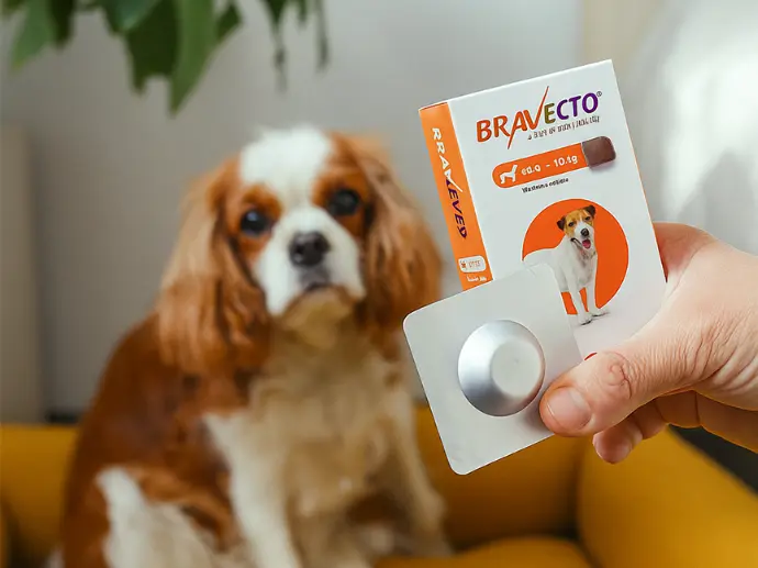 bravecto