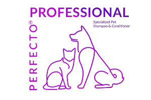 perfecto professional