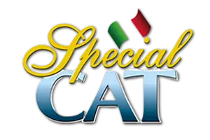 special cat