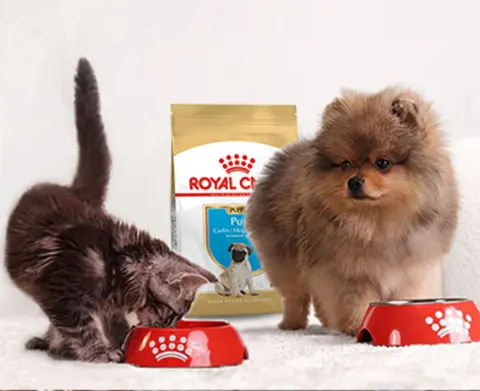 the pet depot ph