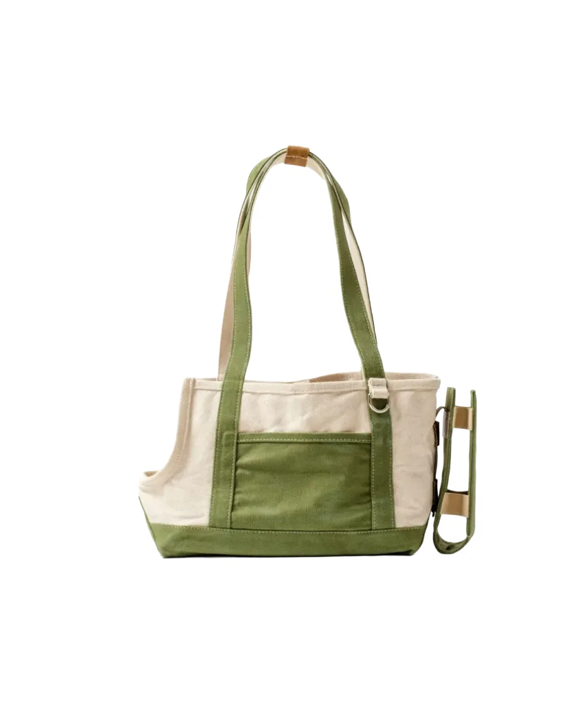 olive.webp