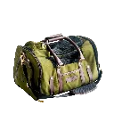 olive green.webp