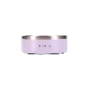 32 lavender.webp