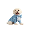 Boy.png
