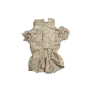 Female.webp