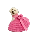 Pink Gown with dog.webp