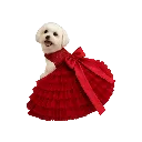 Red gown with dog.webp