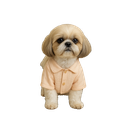with pet.png