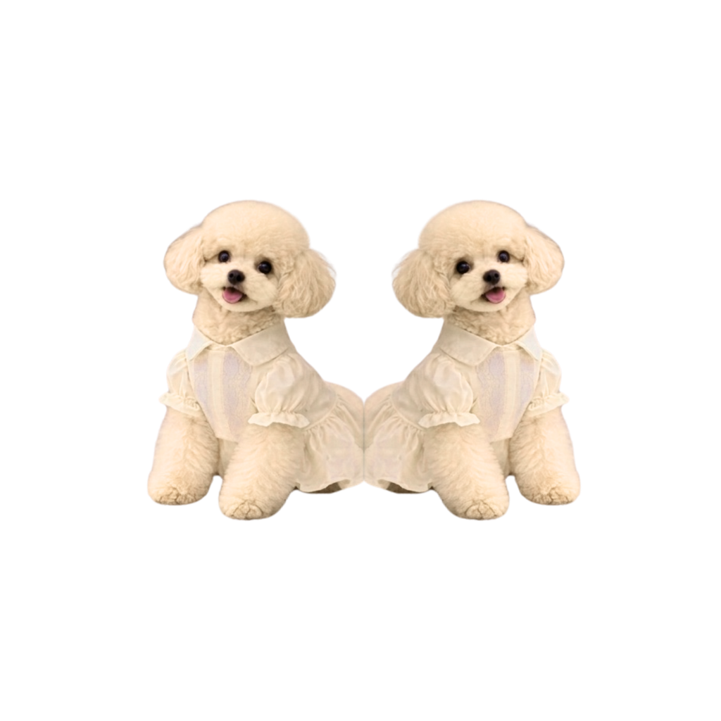 with 2 dogs.png