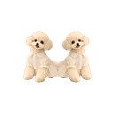 with 2 dogs.png
