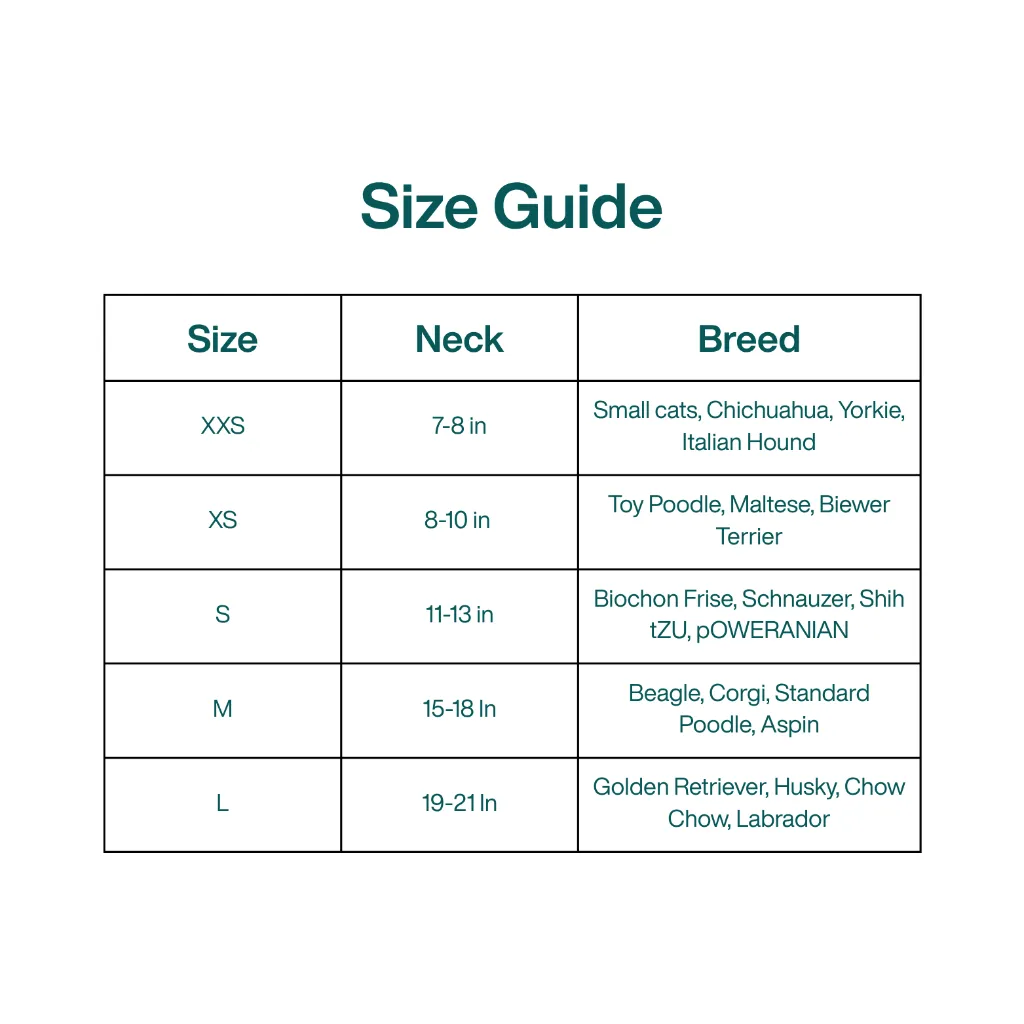 Size Guide.webp