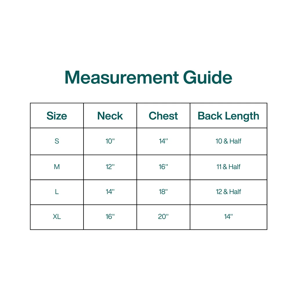 Measurement Guide.webp