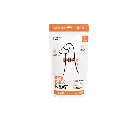 duck1.webp