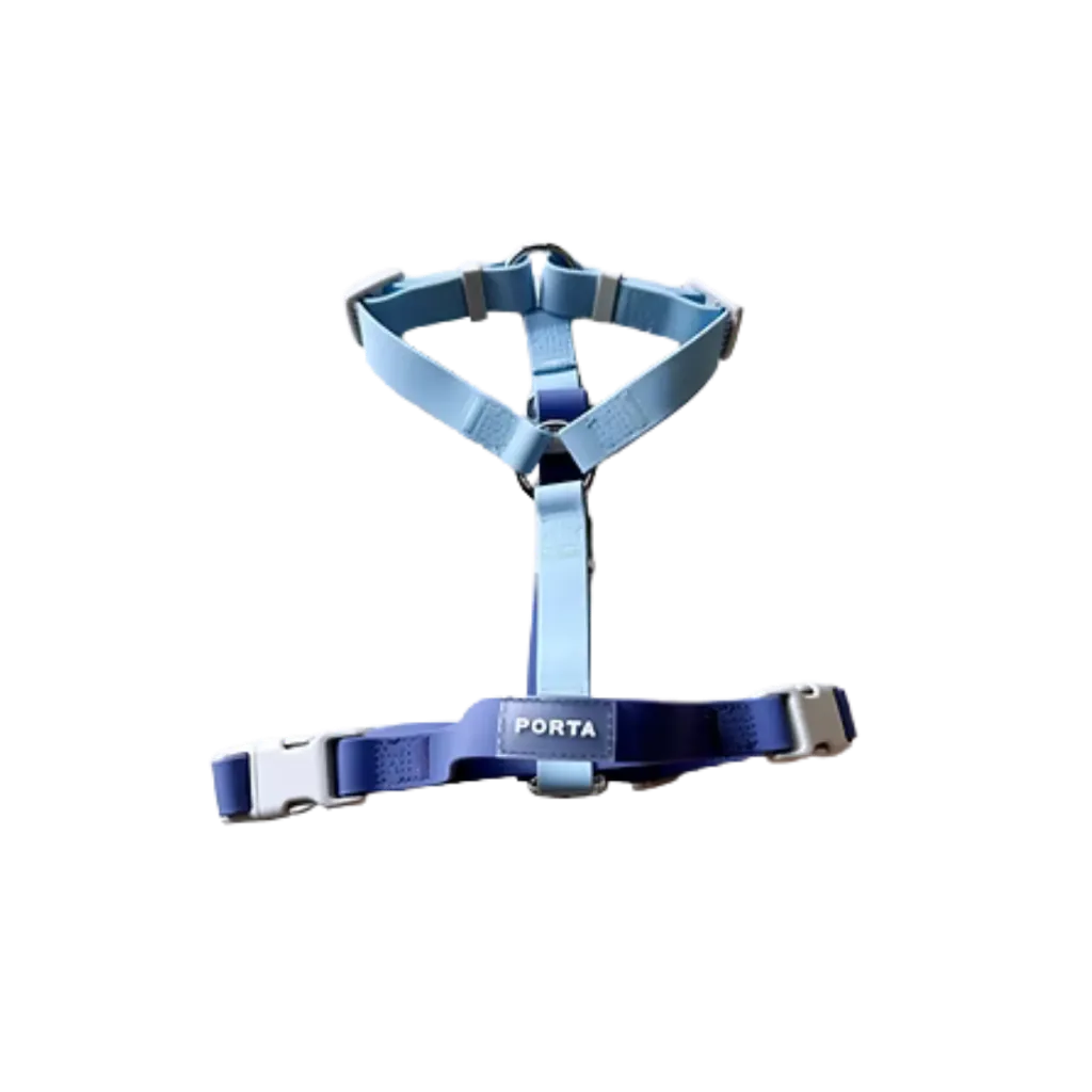 Porta Aqua Glow Blueberry Harness (S)