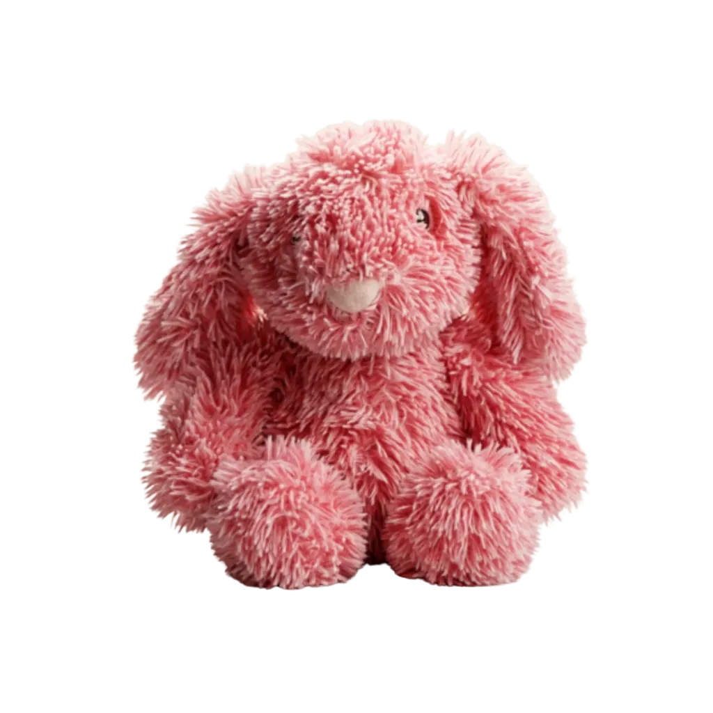 Large Soft Toys (Plush/Squeakers)