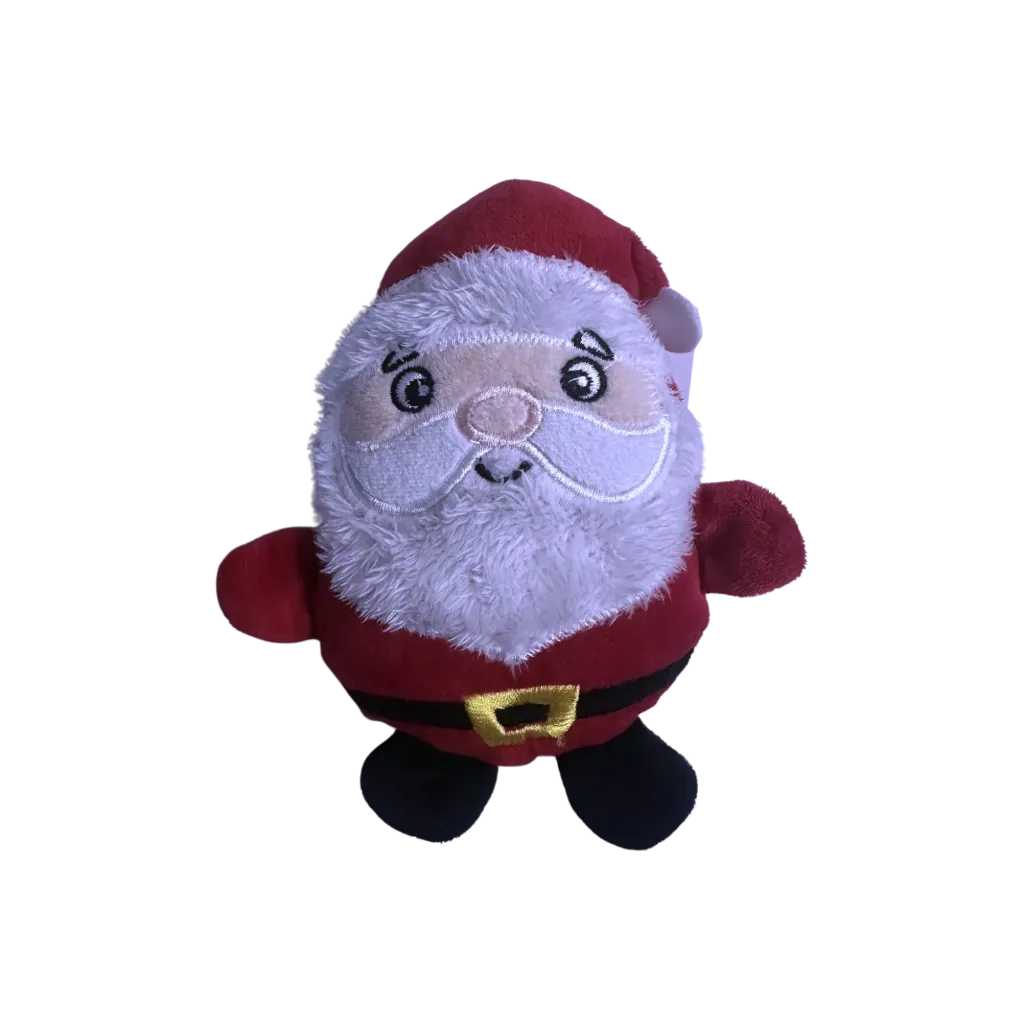 Small Soft Toys (Plush/Squeakers)