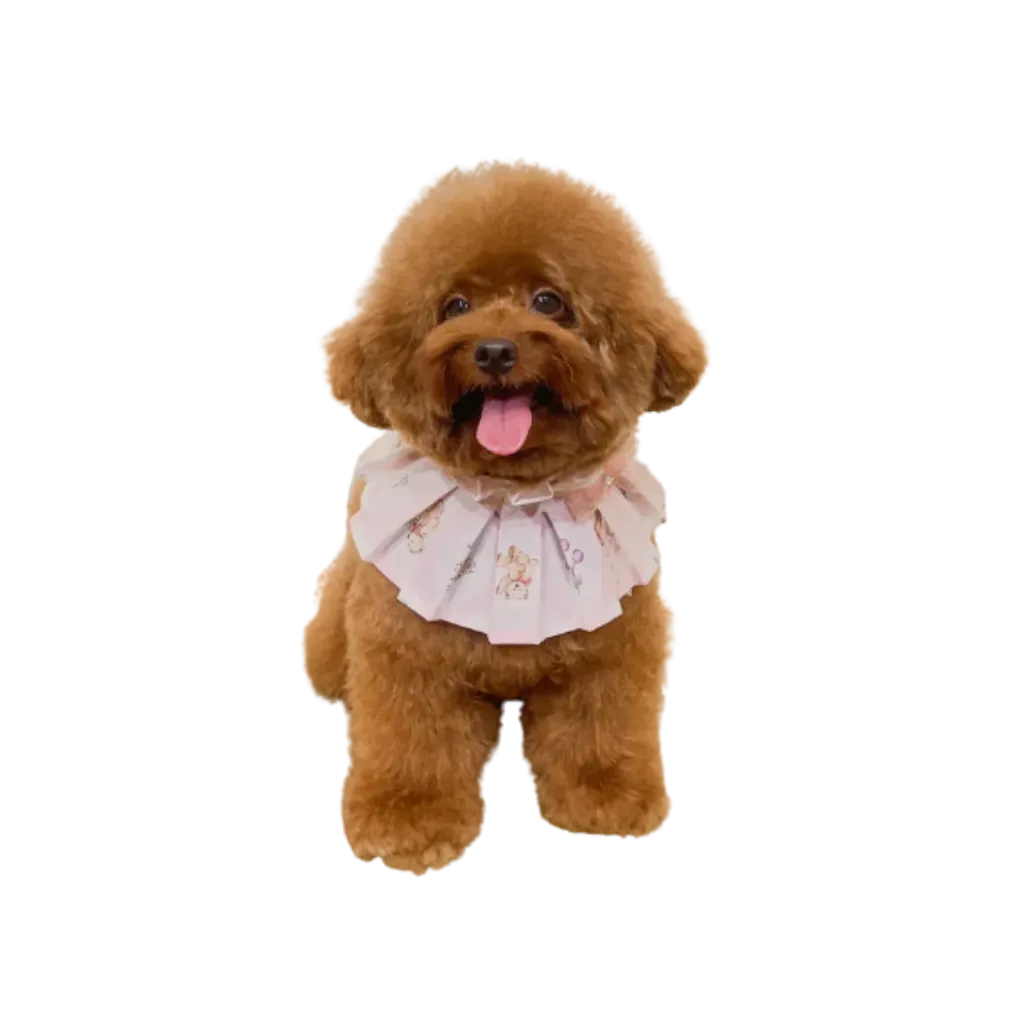 Posh Pets Ruffled Cape - Small (Fatima)