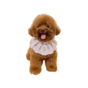 Posh Pets Ruffled Cape - Small