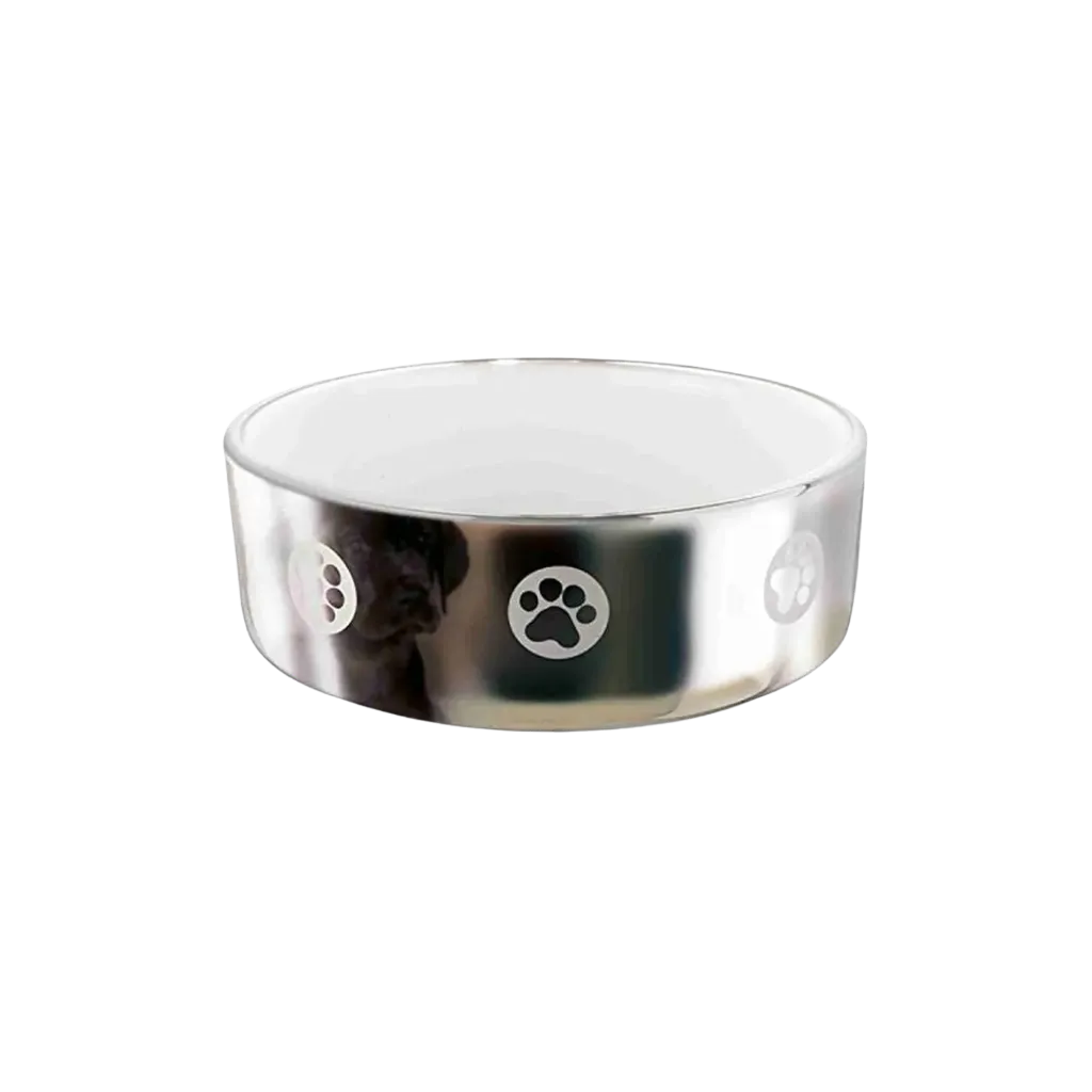 Trixie Porcelain Silver Bowl