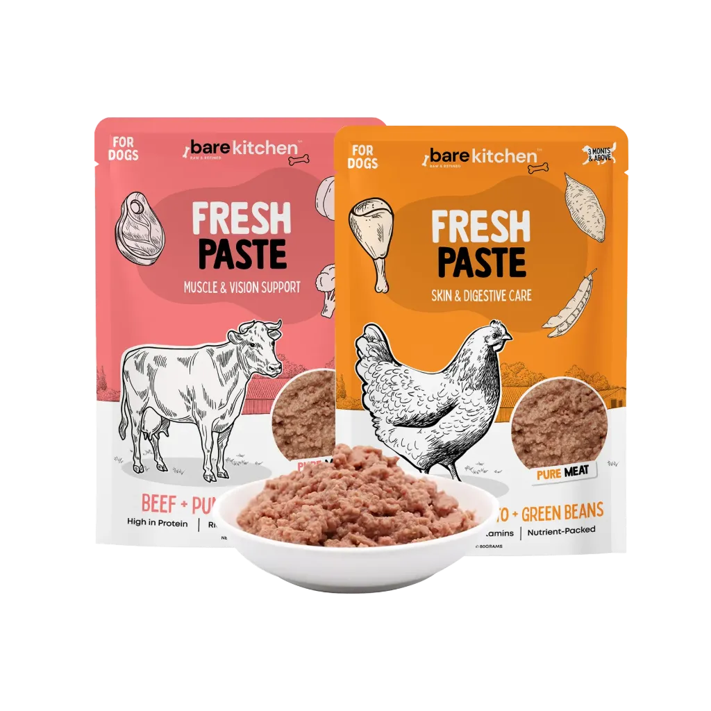 Rare Kitchen Fresh Paste Wet Food Pouch - 100g