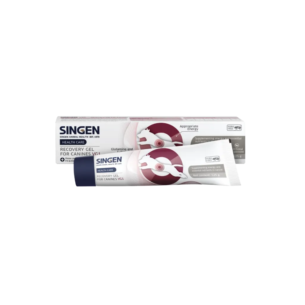 Singen Recovery Gel for Canines VG1 - 125g