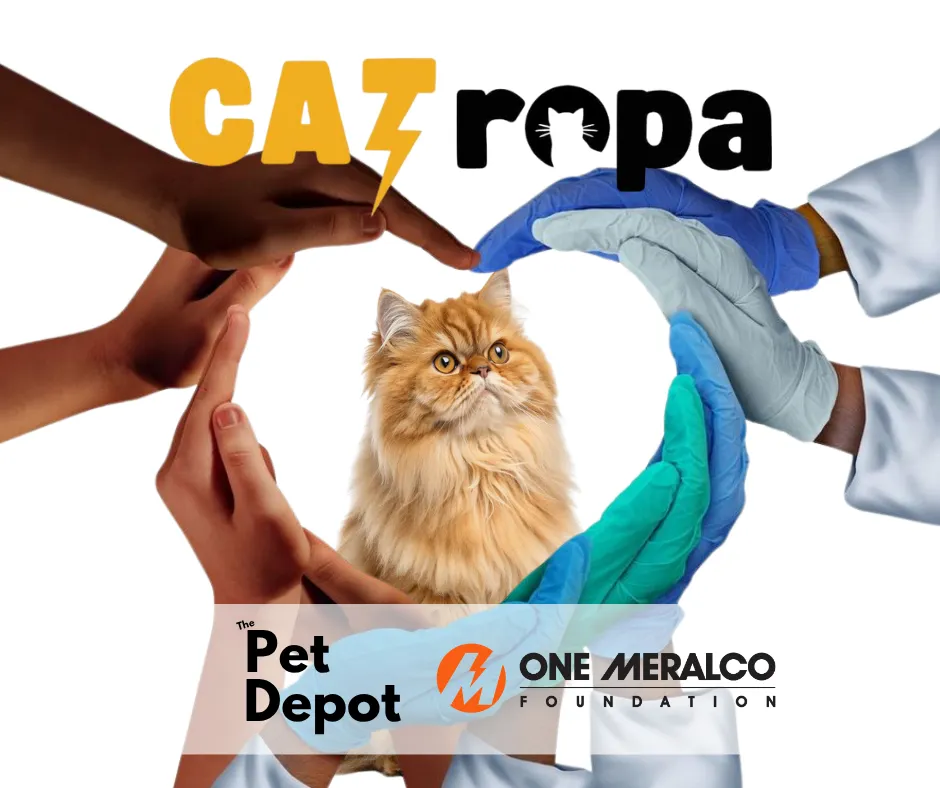 CATropa Projects (Spay It Forward (Kapon, TNVR , Vet Needs))