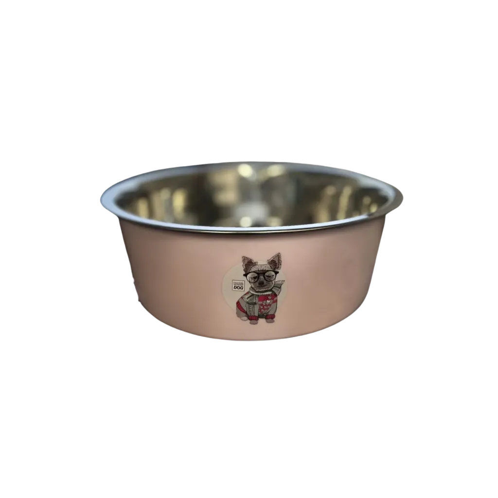 Stainless Steel Pet Bowl Cartoon Design - Medium