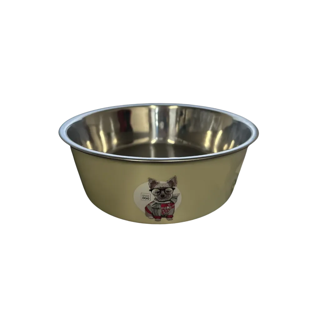 Stainless Steel Pet Bowl Cartoon Design - Large
