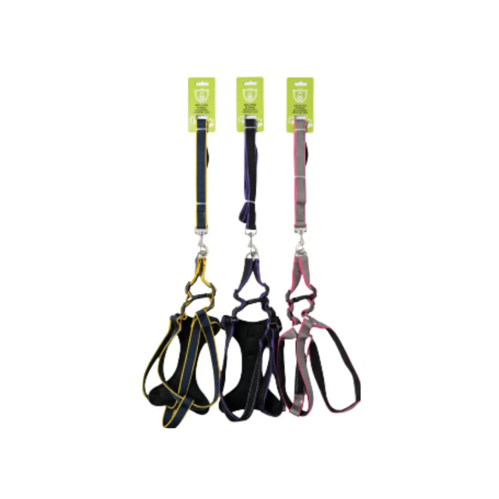 Padded Stripe Harness Leash