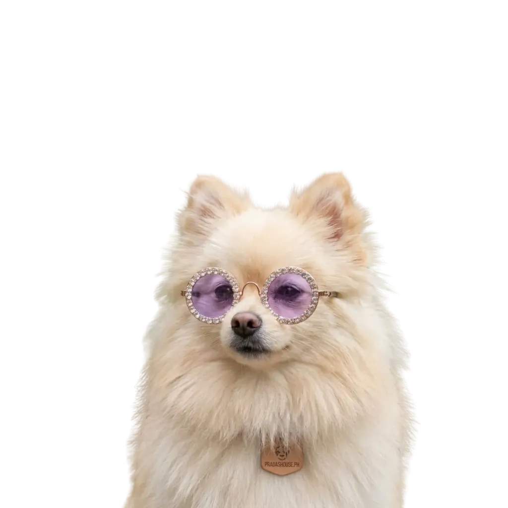 Prada's House Rhinestone Shades