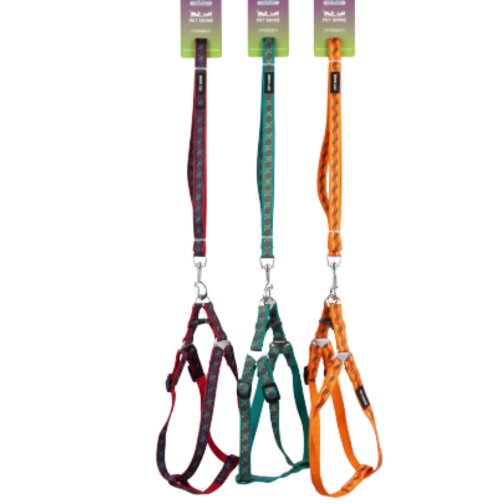 Pet Shine Harness & Leash Set – Assorted Colors