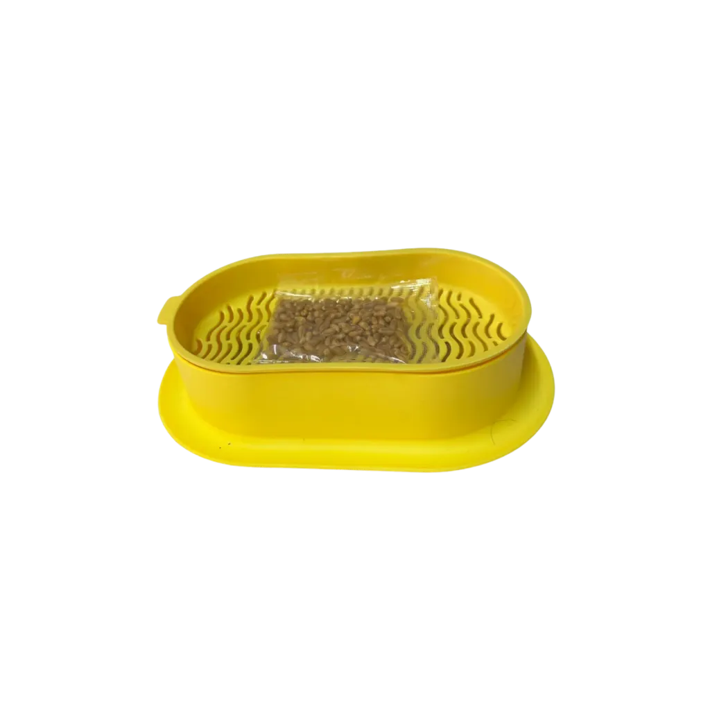 Cat Grass