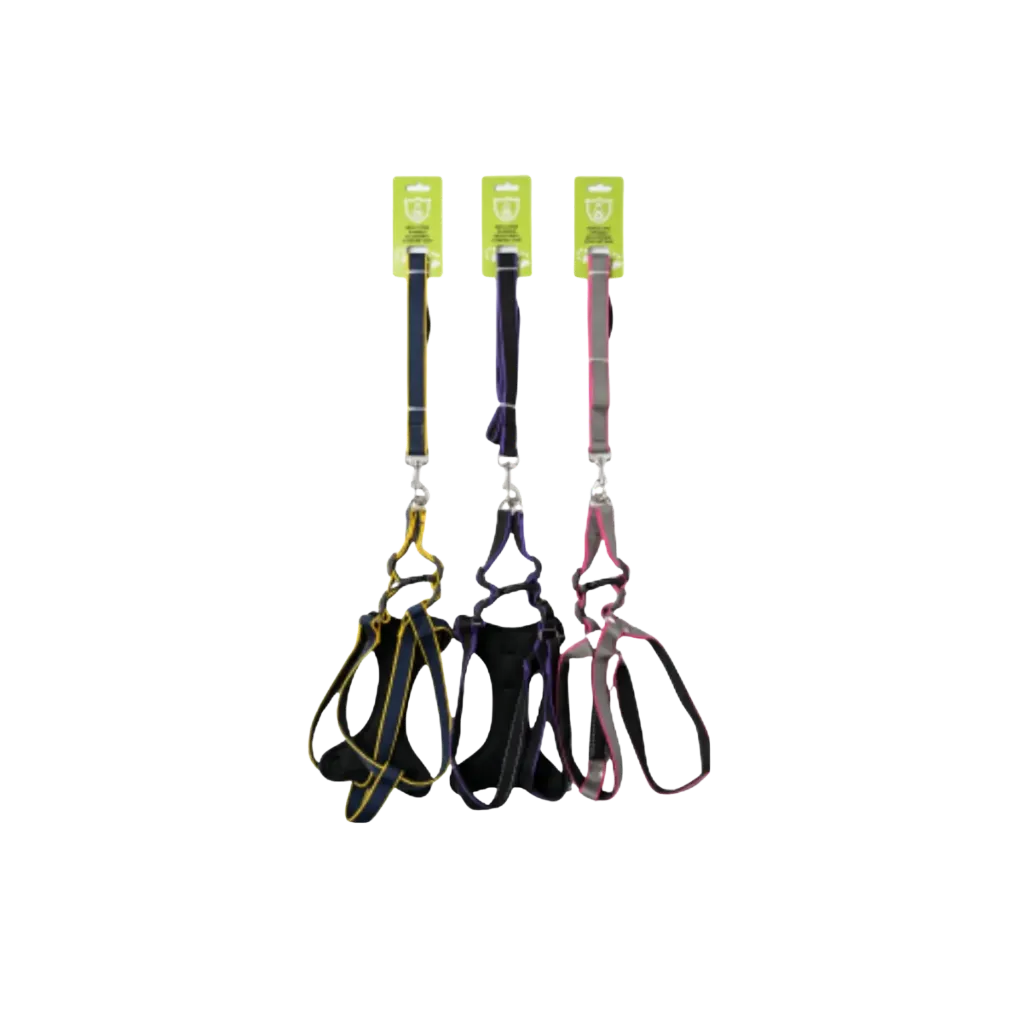 Padded Stripe Harness Leash - 4cm