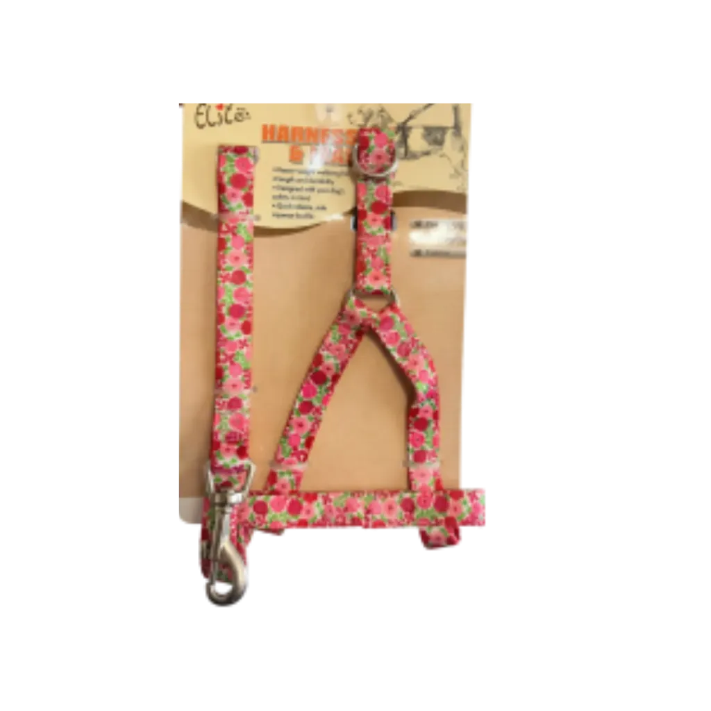 Budget-Friendly Harness w/ Leash