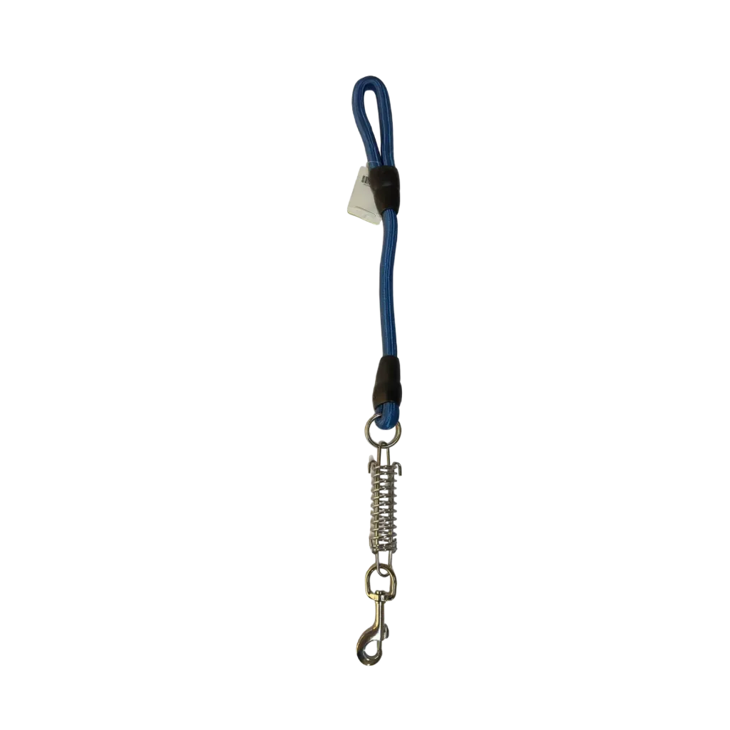 Charles Pet Heavy-Duty Leash w/ Spring