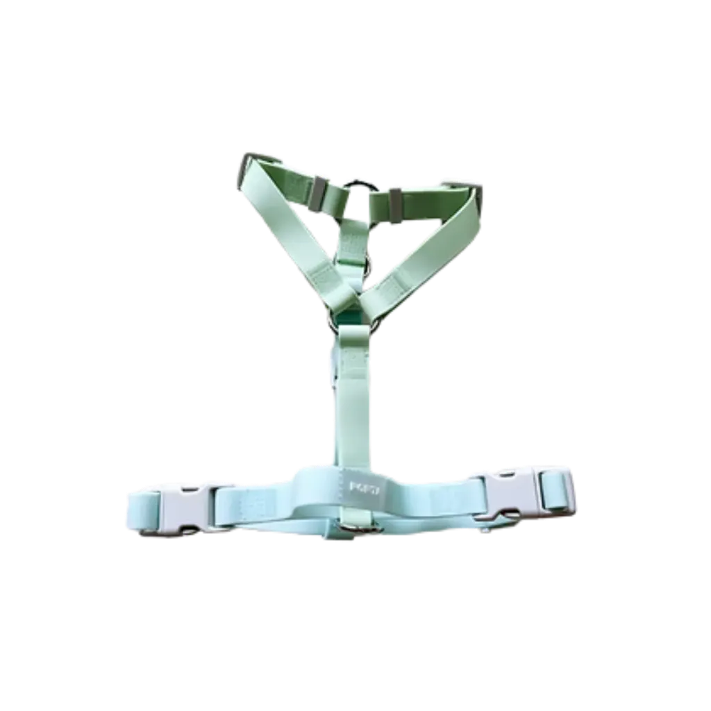 Porta Aqua Glow Matcha Harness