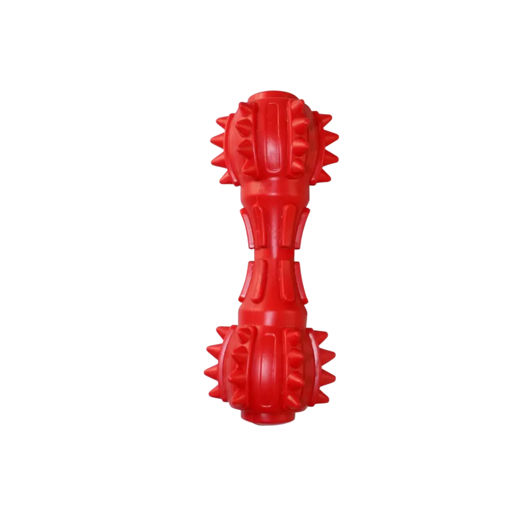 Gogo Pet Squeak Bone Dog Toy