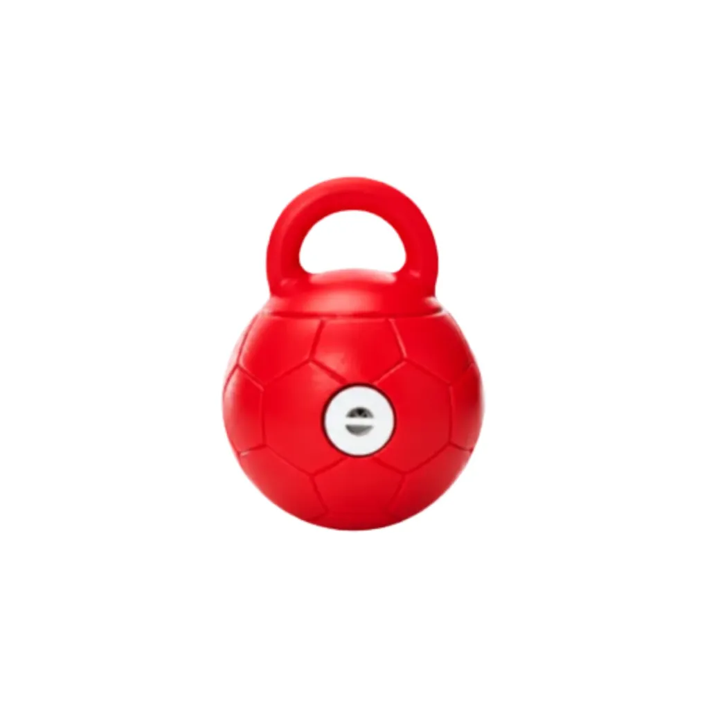 GoGo Pet Soccer Ball Giggler Dog Toy - Assorted