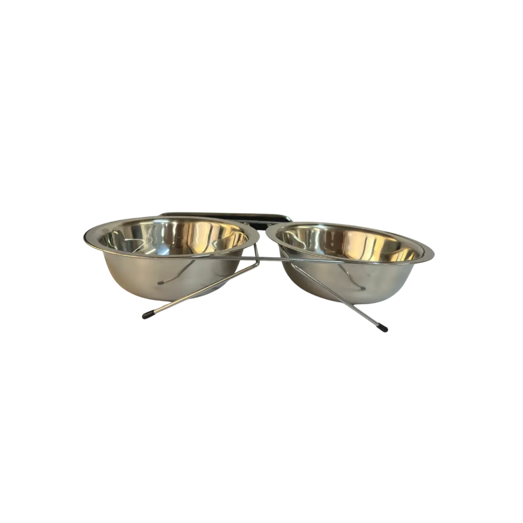 Double Stainless Steel Pet Feeding Station
