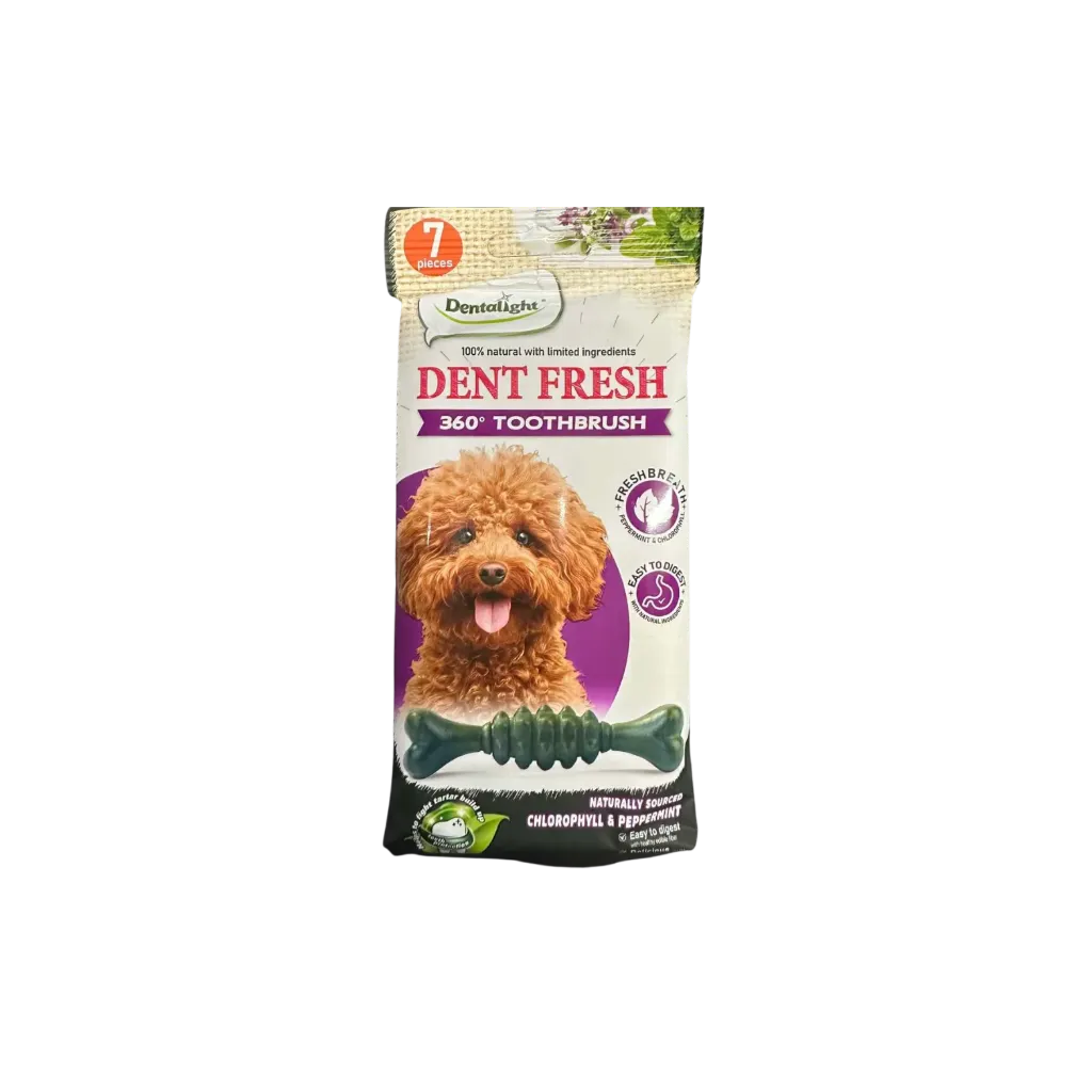 Dentalight Dent Fresh 360 Toothbrush - 60g