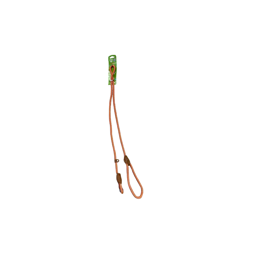 GoGo Pet Leather Dog Leashes