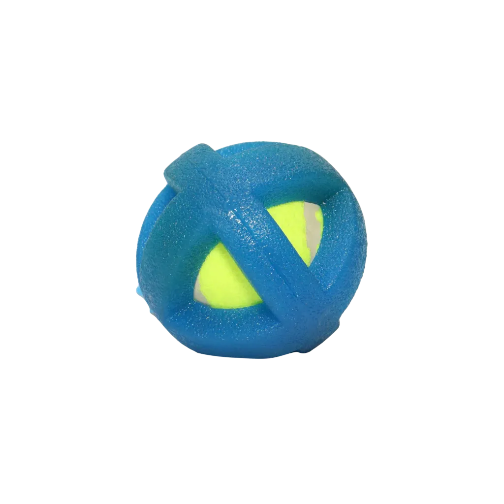 Charles Pet 2-in-1 Bouncy Coated Ball