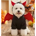 Pet Black Devil Horns Halloween Costume