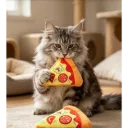 Penny Paws Plush Pizza Slice Shaped Dog Toy