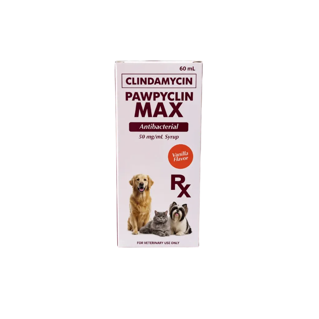 Pawpyclin Max Clindamycin Anti-Bacterial - 60ml