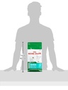 Royal Canin Canine Mini Puppy - 2kg